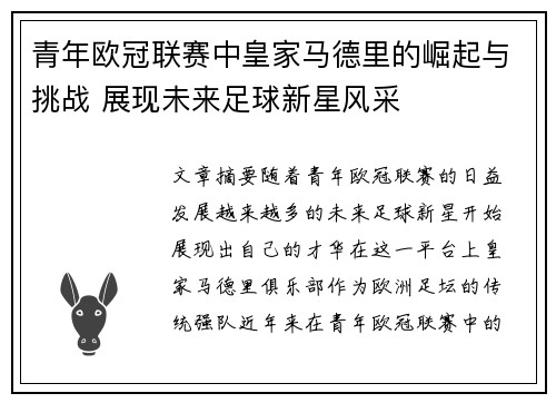 青年欧冠联赛中皇家马德里的崛起与挑战 展现未来足球新星风采